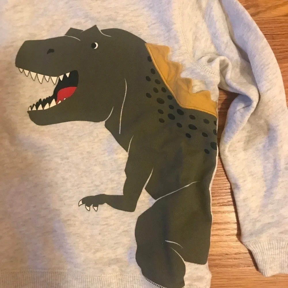 🦖 Carter’s Dino Sweatshirt